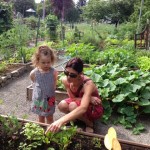 School gardens and education for all ages preschool through 12 grade